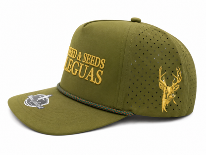 Gold Buck